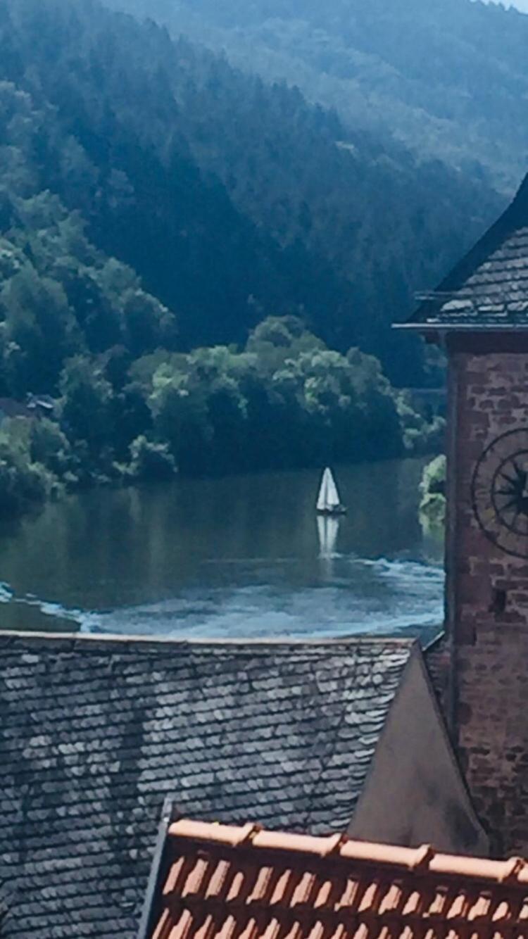 הירשהורן Natur Und Neckarblick Bei Heidelberg מראה חיצוני תמונה