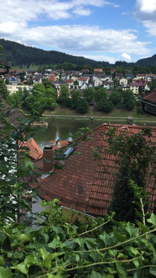 הירשהורן Natur Und Neckarblick Bei Heidelberg מראה חיצוני תמונה