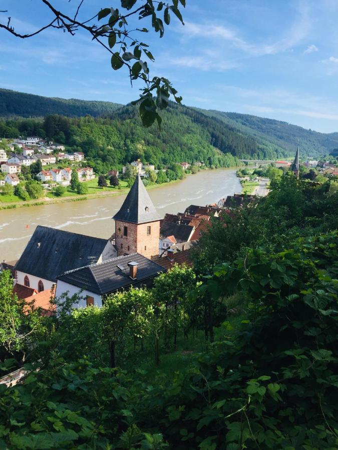 הירשהורן Natur Und Neckarblick Bei Heidelberg מראה חיצוני תמונה