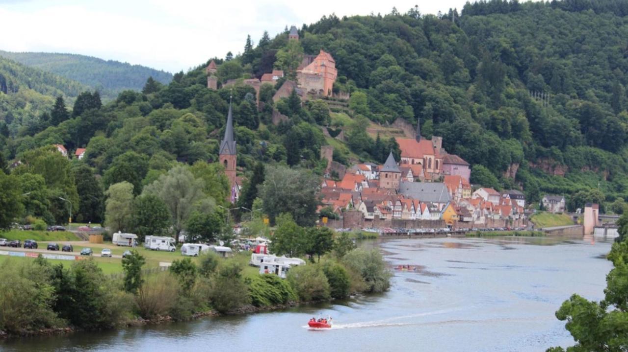 הירשהורן Natur Und Neckarblick Bei Heidelberg מראה חיצוני תמונה