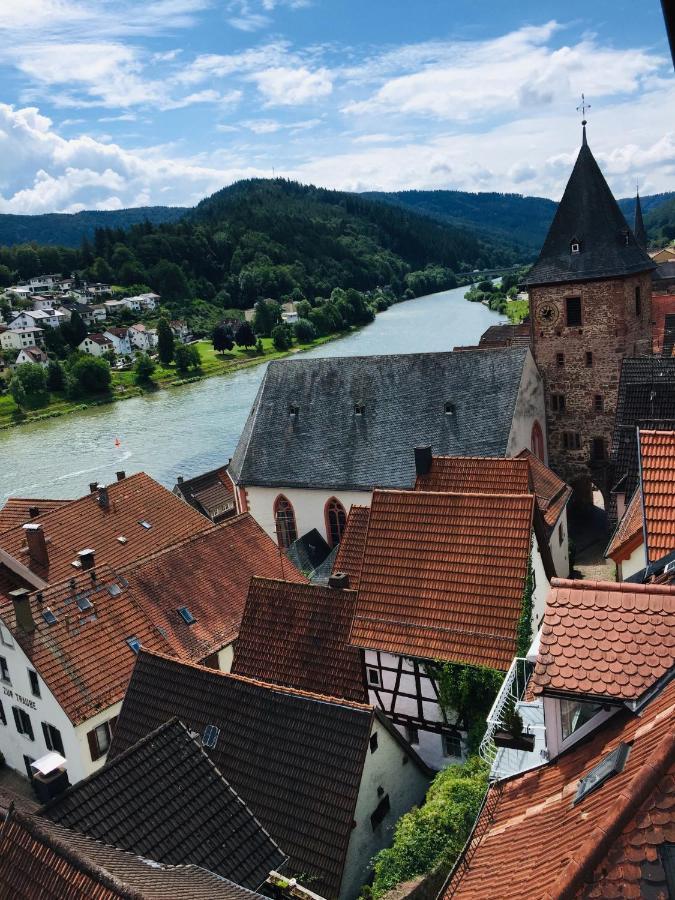 הירשהורן Natur Und Neckarblick Bei Heidelberg מראה חיצוני תמונה