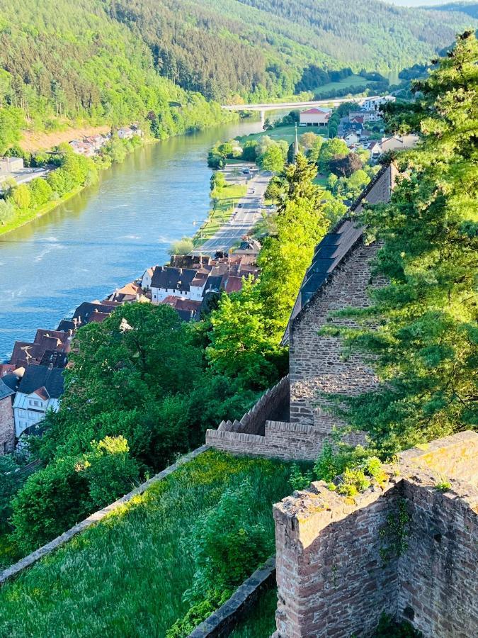 הירשהורן Natur Und Neckarblick Bei Heidelberg מראה חיצוני תמונה