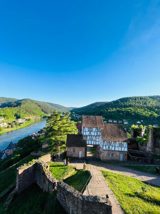 הירשהורן Natur Und Neckarblick Bei Heidelberg מראה חיצוני תמונה