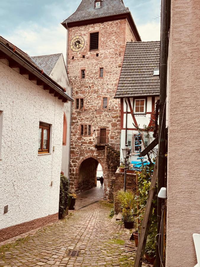 הירשהורן Natur Und Neckarblick Bei Heidelberg מראה חיצוני תמונה