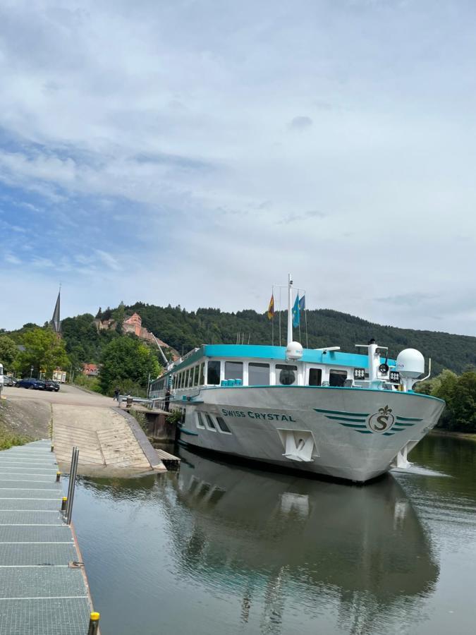 הירשהורן Natur Und Neckarblick Bei Heidelberg מראה חיצוני תמונה