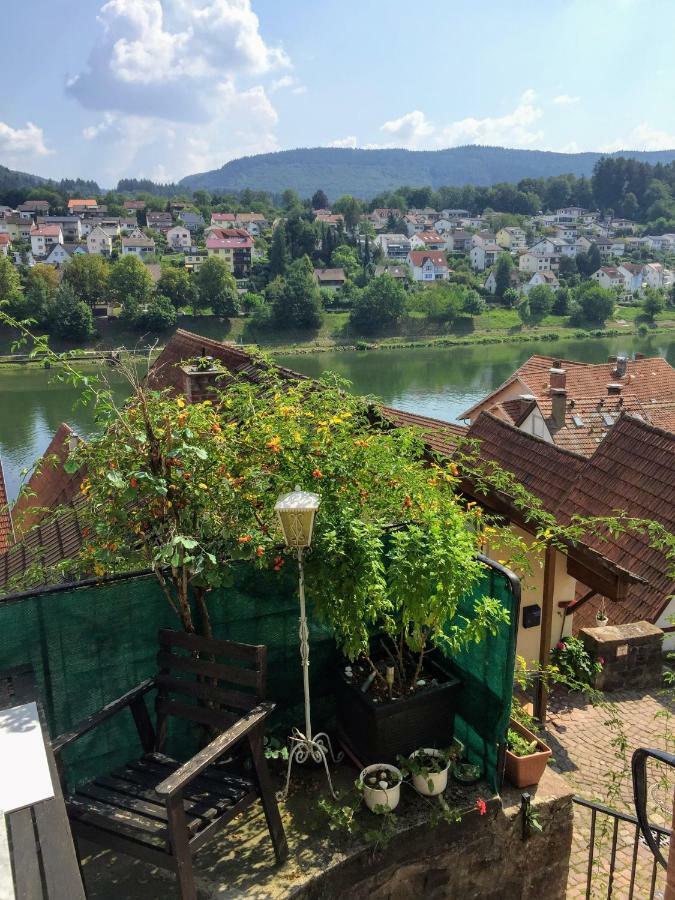 הירשהורן Natur Und Neckarblick Bei Heidelberg מראה חיצוני תמונה