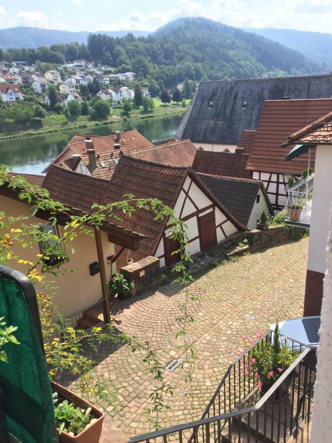 הירשהורן Natur Und Neckarblick Bei Heidelberg מראה חיצוני תמונה